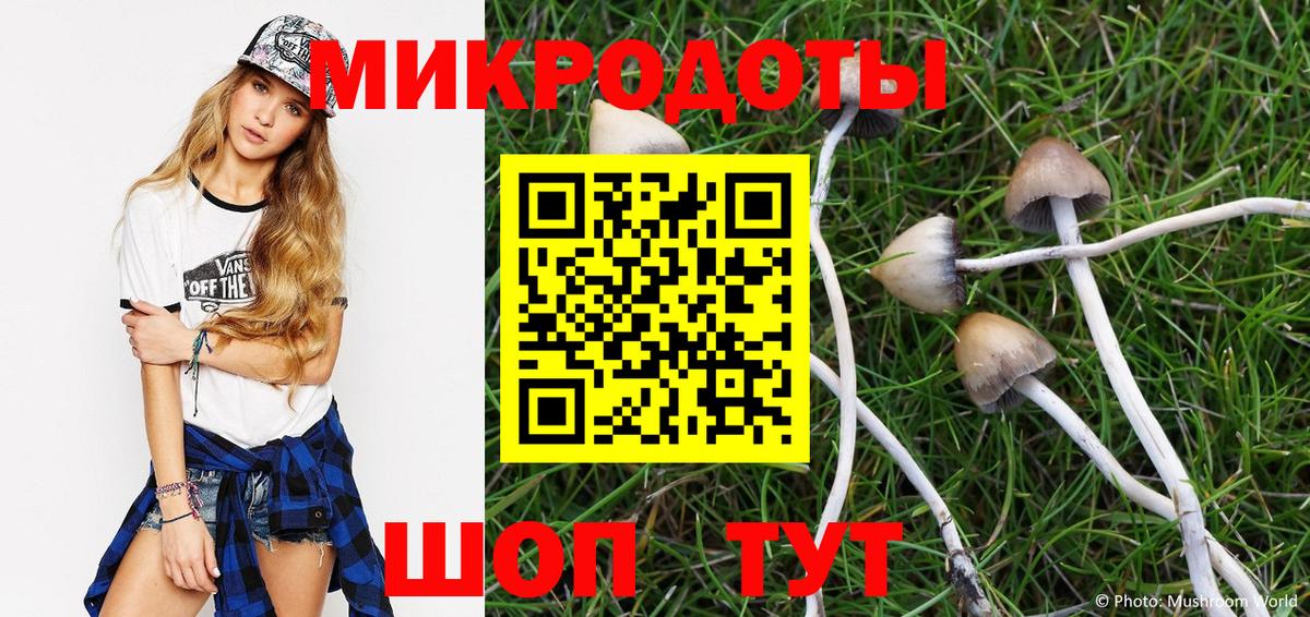 Галлюциногенные грибы GOLDEN TEACHER  Псилоцибиновые грибы Psilocybine cubensis  Вход с VPN  Кулебаки 